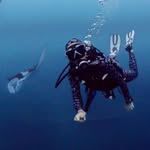 🐋🧜‍♀️ the ocean makes my soul complete 🧜‍♀️🐋 - @jny_intotheocean - Instagram
