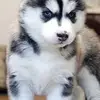 Odalis Ortiz - @odalis.ortiz63 - TikTok