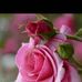 Odalis Polanco - Facebook
