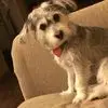 Odalis Suarez - @odalis.suarez79 - TikTok
