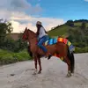 odalys_benavides54 - @odalys_benavides54 - TikTok