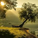 Odalys Cid - Facebook