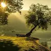 @Odalys Cid - @odalys.cid3 - TikTok
