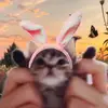 Odalys Fernandez - @odalysfernandez257 - TikTok