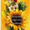 Odalys 🌻🌻 - @odalysvaldes33 - TikTok