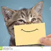 Odean Smith60 - @odeansmith1234567 - TikTok