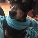 Connie Fox Chalfant Odell - @conniefoxchalfantodell - Instagram