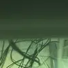 Odella Herring - @odella.herring33 - TikTok