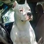 Odell Johnson - @odell.collins.75 - Instagram