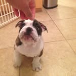 Odell Macklemore - @odellmacklemore - Instagram