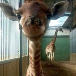 Samuel Odell Watson - @samwatson_2467997433567 - Instagram