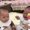 Trương Mai - @odessabender155 - TikTok