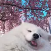 OdessaLee - @odessalee7 - TikTok
