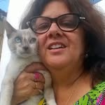odete clemente - @odeteclemente7891 - Instagram