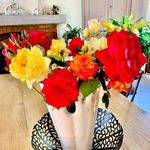 Odette Smith - @odettesmith32 - Instagram