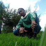 Nelson odinare - @nelsonodinare - Instagram