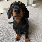 Odis Everett - @odiseverett79 - Instagram
