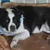 Morgan - @odingrant - TikTok