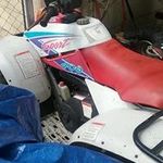 odisgrant 290873 - @odisgrant290873 - Instagram