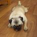 Odis Hicks - Facebook