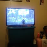 odishunt - @odishunt9 - Instagram