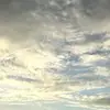 jdjdhzgbsbs - @odiswilliams64 - TikTok