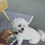 Odis Williams - @dailyodis - Instagram