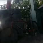 Odon Bustos - @odonbustos - Instagram