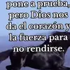 Ody Gonzalez - @ody.gonzalez75 - TikTok