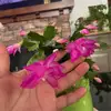 Ody Gonzalez - @ody.gonzalez3 - TikTok