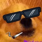 Odysseus McGee - @yung_otis - Instagram