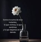 Ofelia Aceves - Facebook