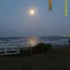 ofeliaaceves2 - @ofeliaaceves2 - TikTok