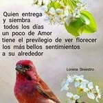 Ofelia Agudelo - @ofelia.agudelo.355 - Instagram