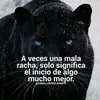 Ofelia Agudelo - @ofeliaagudelo196 - TikTok