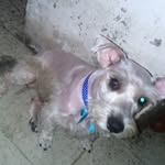 Ofelia Aragon - @ofeliaaragon1 - Instagram