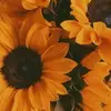 Ofelia Aviles - @ofelia.aviles5 - TikTok