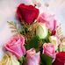 Ofelia Cabrera - Facebook