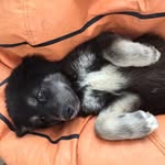 Ofelia Cantú Quintanilla - @ofeliacantuq - Instagram
