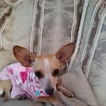 Ofelia Carlos - @ofelia.carlos.568 - Instagram