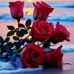 Ofelia Carrera - Facebook
