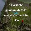 ofeliaferrer50 - @ofeliaferrer50 - TikTok