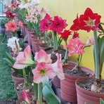 Ofelia Ignacio - Facebook