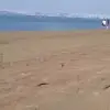 Ofelia Jacobo - @ofelia.jacobo46 - TikTok