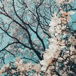 ofelia_jauregui - @maricelarocha27 - Instagram