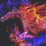 ofelia john - @horse.club_ - Instagram