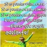 Ofelia Lemus - @ofe.lemus - Instagram