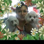 Ofelia Lemus Avila - @avilaofelialemus - Instagram