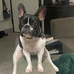 Ofelia - @ofelia__love - Instagram