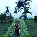 Ofelia Gonzalez Luis - @ofelia_glez06 - Instagram